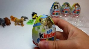 Открываем 12 новых Kinder сюрпризов "Animal Planet".