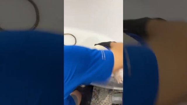 Как правильно и часто купать собаку? Купаем французского бульдога. смотреть онлайн