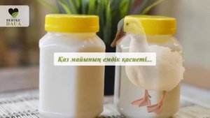 Қаз майын күн сайын сүтке қосып ішіп отырдым. Бұл емді ешкім білмейді. Қаз майының пайдасы!