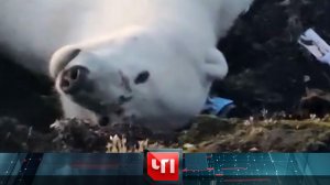 «ЧП»: 6 сентября 2022 года | «Чрезвычайное происшествие» на НТВ