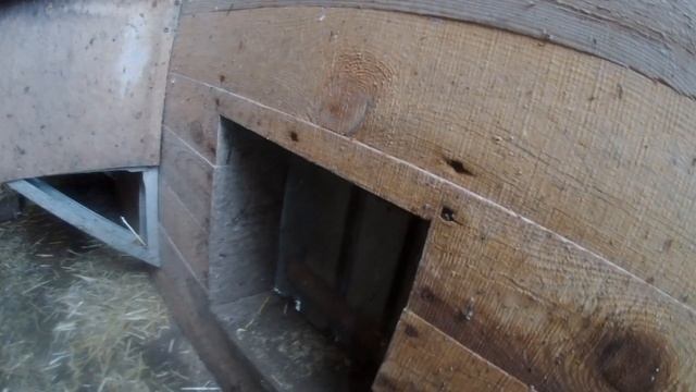 Кофе в рационе несушек?????!!!! Почему бы нет!