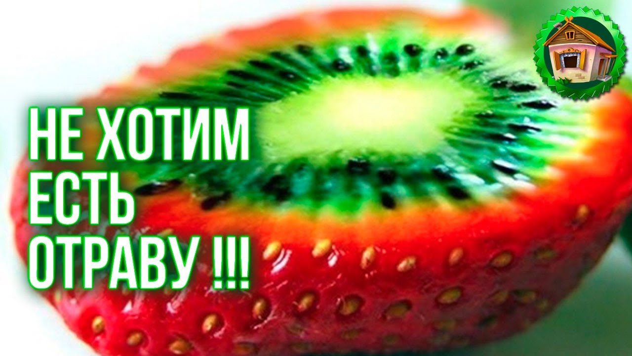 Где купить семена? Ищем живые семена. Где найти Семена НЕ F1? 59 серия