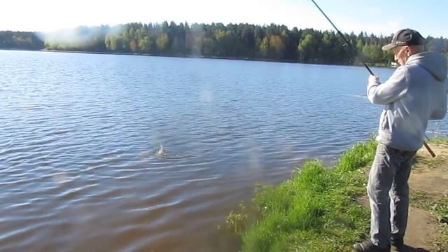 15.05.2017 / Нагульный пруд рыбхоза "Гжелка" / Ловля карпа смотреть онлайн