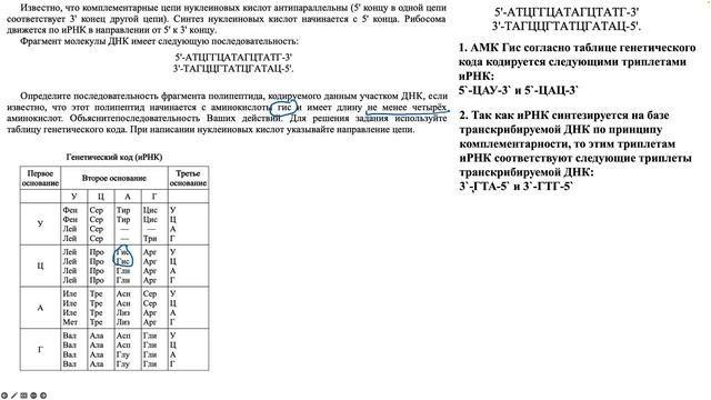 Разбор задачи на биосинтез белка с построением полипептида определенной длины 42085. смотреть онлайн