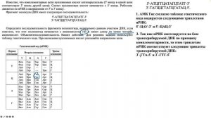 Разбор задачи на биосинтез белка с построением полипептида определенной длины 42085.