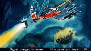 Муха Цокатуха