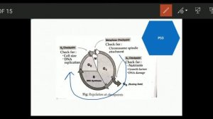 Apoptosis (programmed cell death) | part-01 | overview