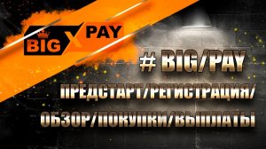 bigpay vip - отзывы и обзор