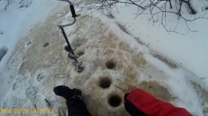Уникальная запись рыбалки в тайге неводом. Живем, рыбачим и не только.