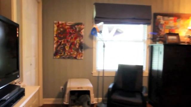 821 Clematis Dr, Nashvillle TN смотреть онлайн