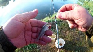 Рыбалка на донки, река Иж понтонный мост. Рыбалка после грозы.