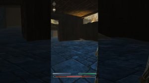 Glitch in the arena The elder scrolls Blades