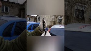 Как заменить резинку дворника на Калине