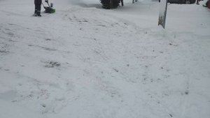 Снегоуборщик Greenworks 82v GD82ST commercial