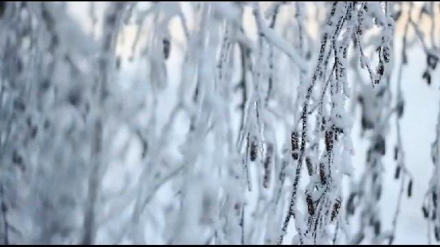 Сибирская зима|Зимние пейзажи