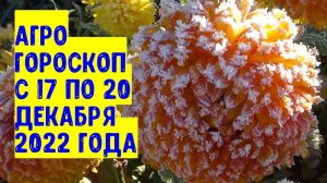 Агрогороскоп с 17 по 20 декабря 2022 года Агрогороскоп з 17 по 20 грудня 2022 року