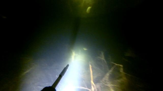 Подводная охота весна 2019 часть 1. Икряная щука:)) смотреть онлайн