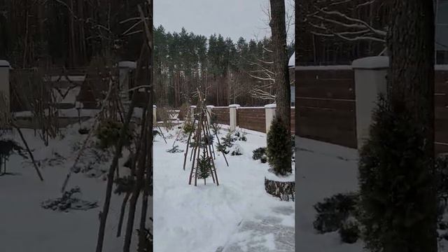 Гомель. Кафе "Дукат" смотреть онлайн