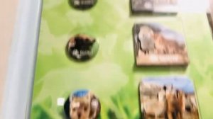 #день1 Едем в Ярославль/зоопарк/колесо обозрение. ТЕЛЕФОН ЧУТЬ НЕ УЛЕТЕЛ С КОЛЕСА ?