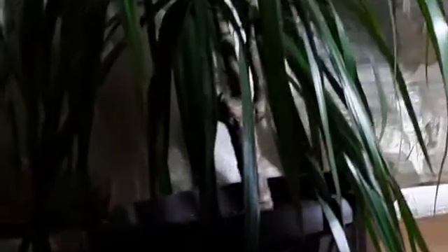 Test Upload via Java on Sun Apr 15 23:21:48 GMT+02:00 2018 смотреть онлайн