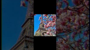 цыганская песня 2023,🤤😻эту песню ищут все ❤️#трек #цыганскиедевушки