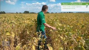 Полевой вестник BASF. Опыт применения КОРУМ® в Краснодарском крае
