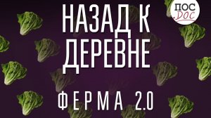 «Назад к деревне. Ферма 2.0».