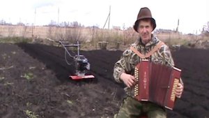Если б гармошка умела с нотами в цифрах.