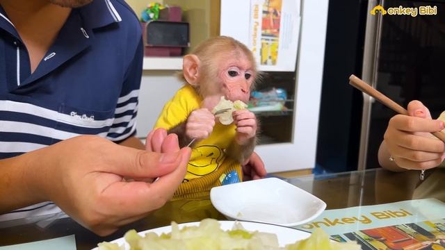 So Happy! BiBi Has Found His Appetite Again! смотреть онлайн