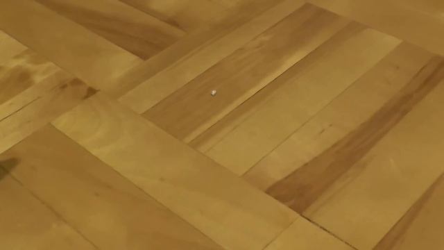 1 серия. Лошади против диких кошек.(Моё первое видео :))