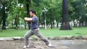 Кунг фу Хун гар.Кулак железной нити.