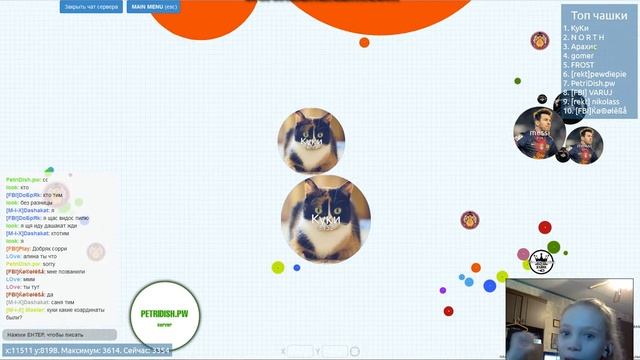 Куки Победитель!|Чашка Петри|ВЕБКА! смотреть онлайн