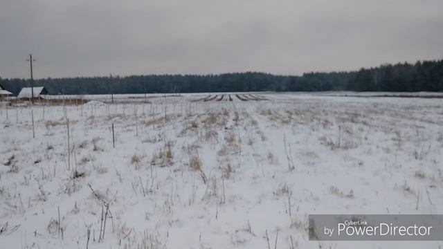 Фундук Беларусь (зайцы) смотреть онлайн