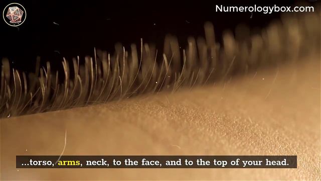 Most Powerful Technique to Remember Your Past Life смотреть онлайн