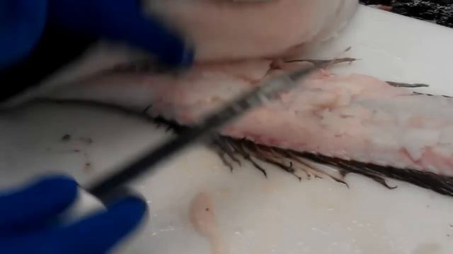 Разделка хека смотреть онлайн