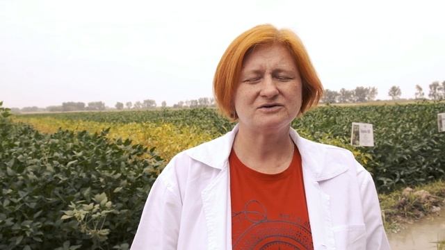 Казахский научно-исследовательский институт земледелия и растениеводства смотреть онлайн