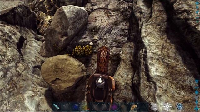 ARK РЕДКИЙ ЦВЕТОК