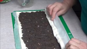 Булочки с маком.   Булочки улитки из слоенного теста