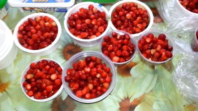 Заморозка земляники! смотреть онлайн