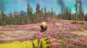 Far Cry New Dawn - бабуля помощник