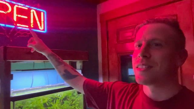 Java Moss Plant Care - Need to Know смотреть онлайн