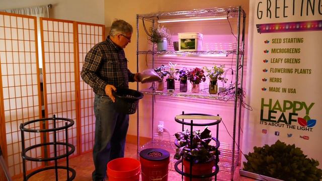 The Passive Hydroponic Method | Growing Big in 5 Gallon Buckets. The Anywhere, Anytime Indoor Garde
