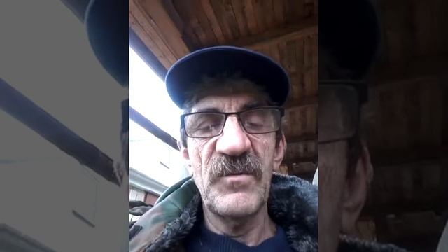 белый трюфель Трюфель Белый Гриб в Подмосковных лесах