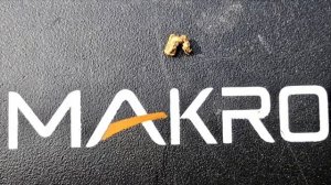 Makro Gold Kruzer, Fun Couple Of Days ⛏