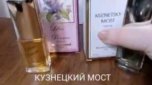 Новая Заря. Кузнецкий мост и персидская серень.