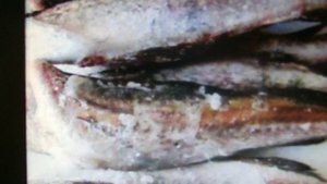 Весёлая история: "Чем отличается минтай от хека?"?