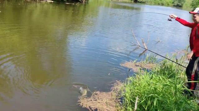 Мормышинг и клыкастый трофей. Наноджиг в деле! Трофеи малых рек смотреть онлайн