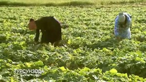 Турсунзода- Вчера, Сегодня и Завтра