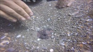 Подводные археологи нашли корабли с сокровищами.