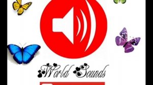 Звук волшебная палочка